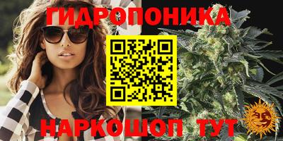 индика Кунгур