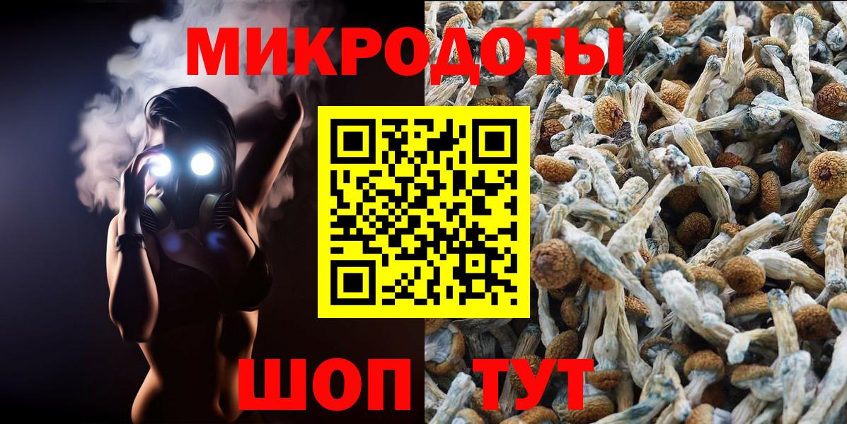 Псилоцибиновые грибы ЛСД Зерноград