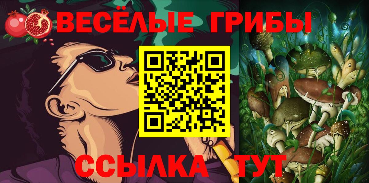 Зерноград  Псилоцибиновые грибы мицелий  Вход с VPN 